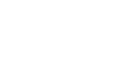 Optima-clients-brausa-logo-footer